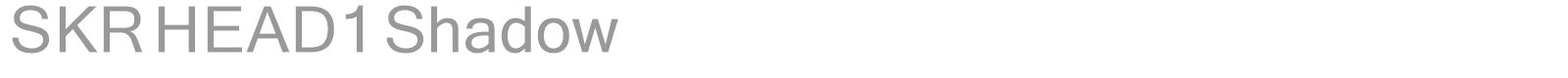 SKR HEAD1 Shadow font preview